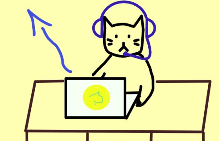 cat at computer